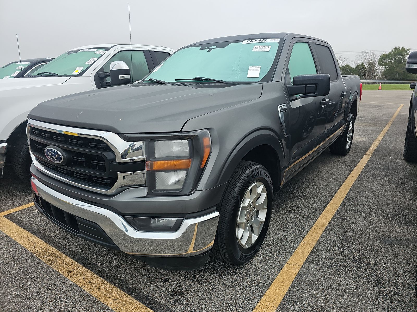 2023 Ford F-150 XLT RWD