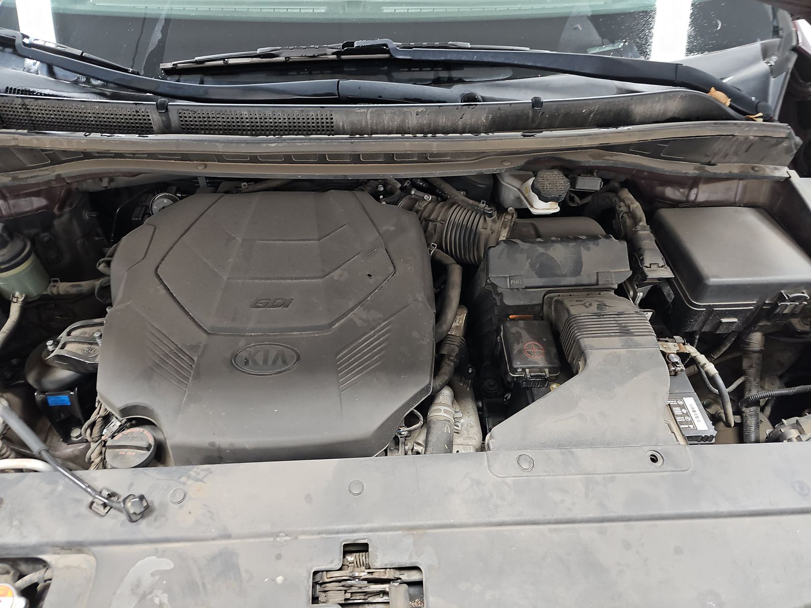 2020 Kia Sedona LX FWD