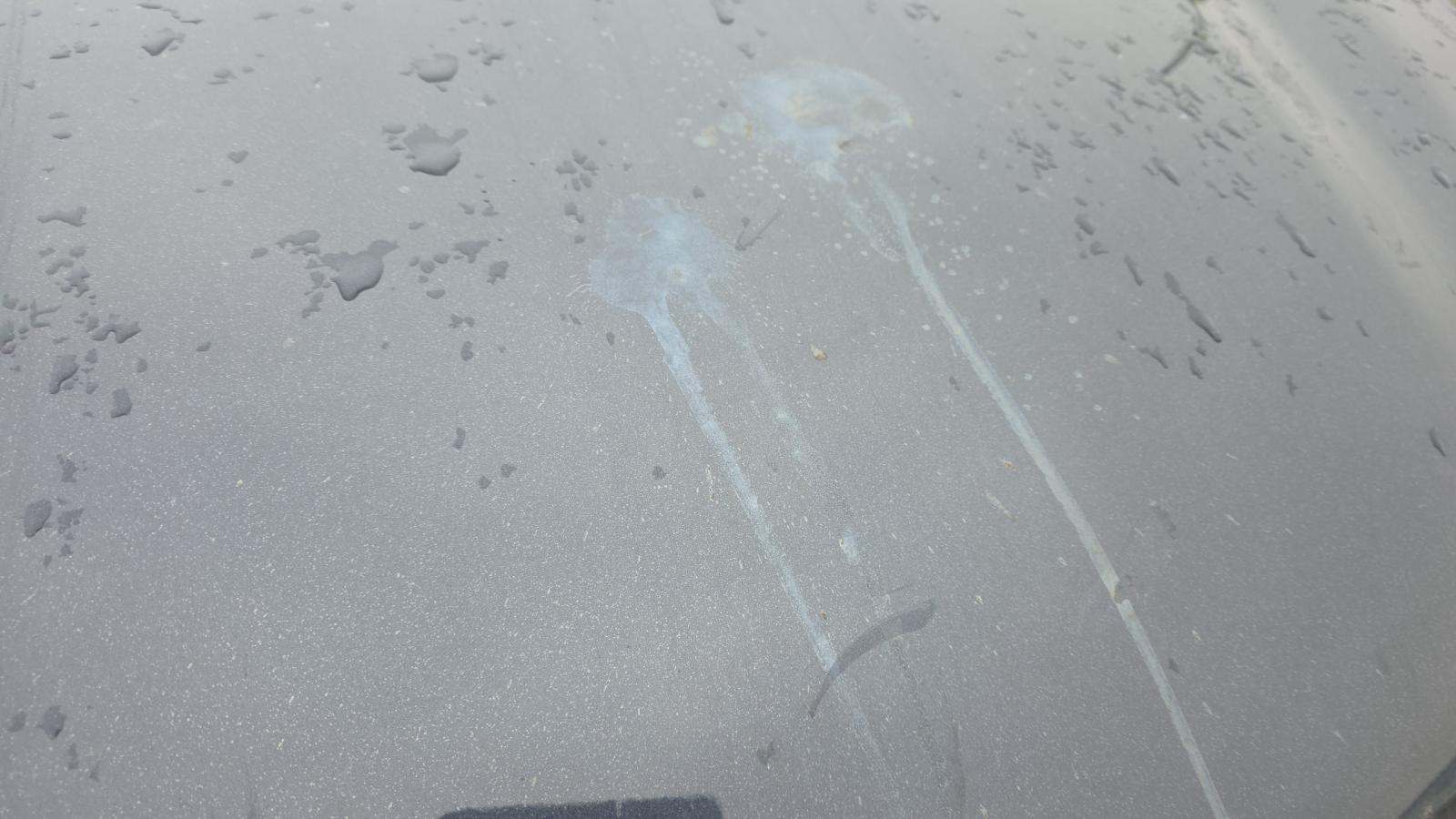 2025 Kia Sorento X-Line SX Prestige AWD