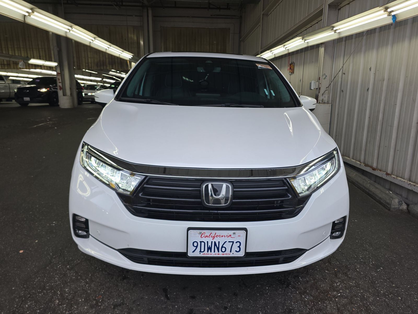 2023 Honda Odyssey Elite FWD