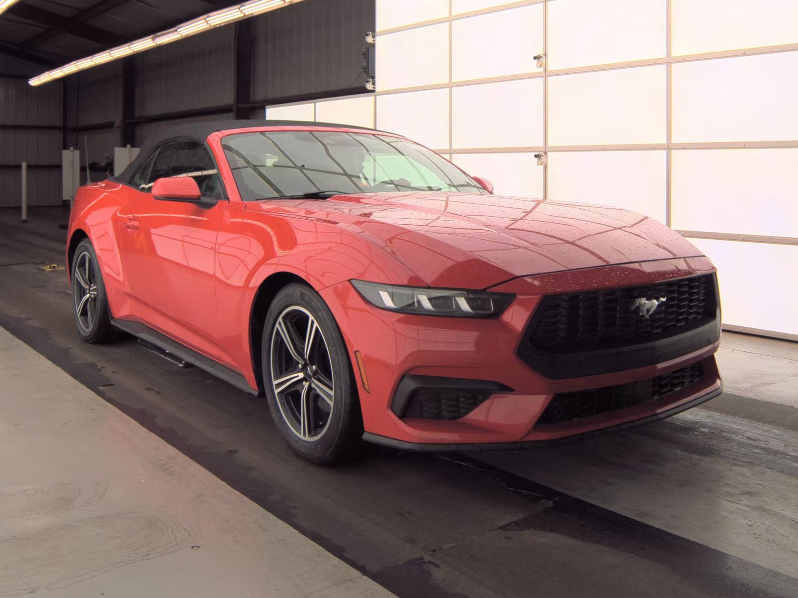 2024 Ford Mustang EcoBoost Premium RWD