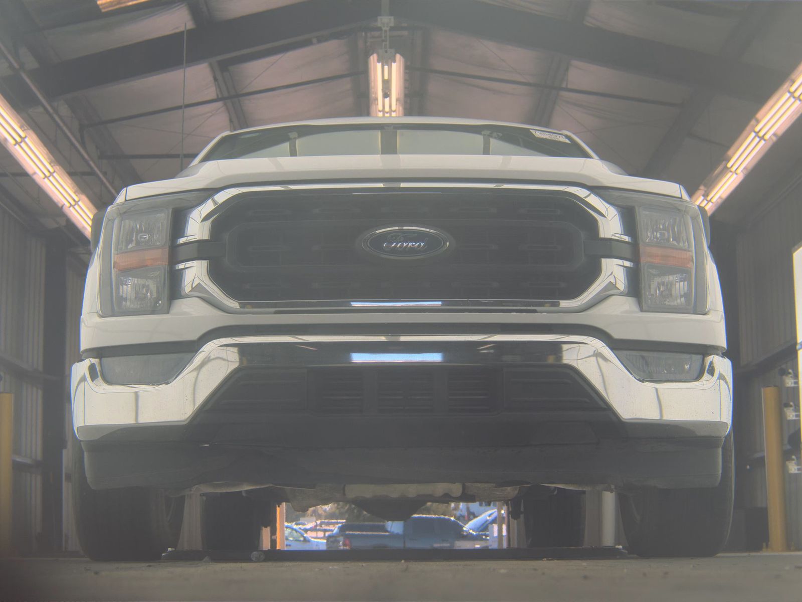 2023 Ford F-150 XLT RWD