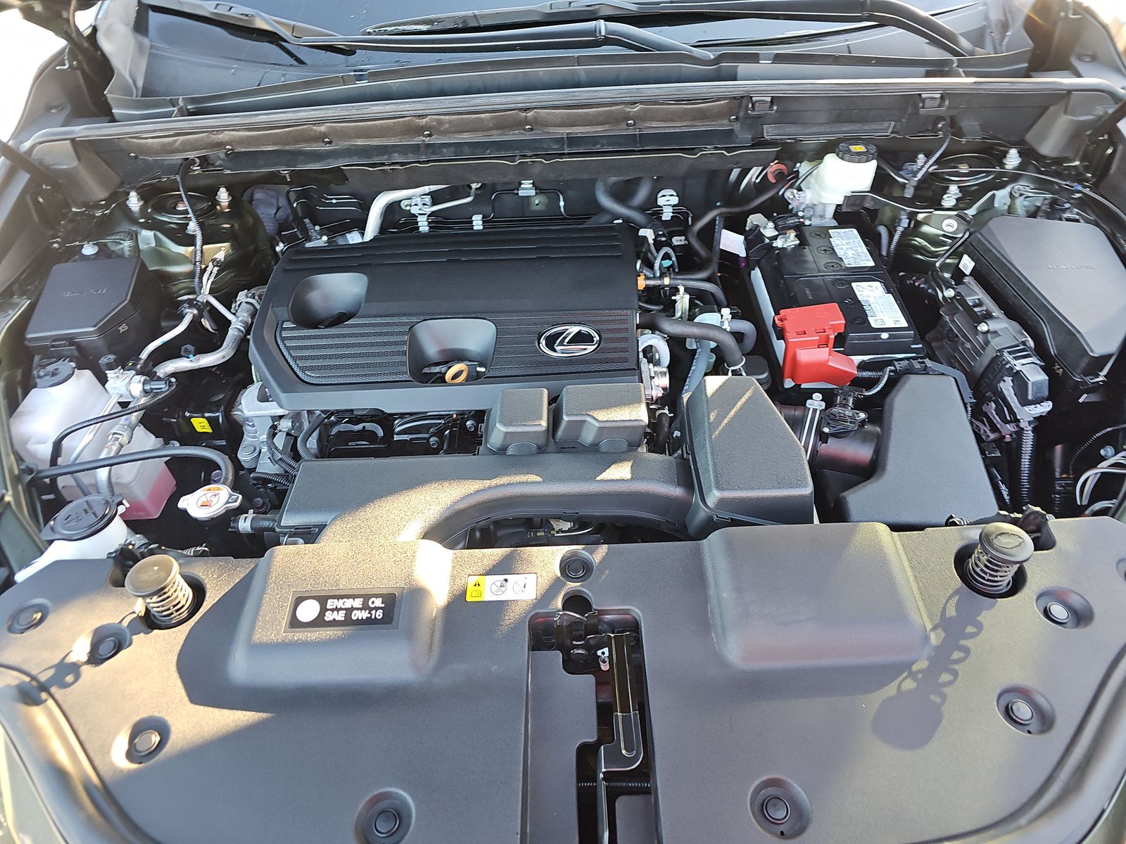 2024 Lexus NX NX 250 FWD