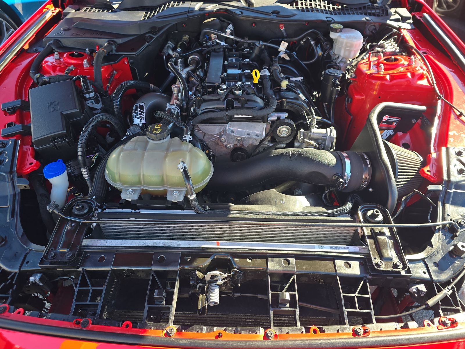 2023 Ford Mustang EcoBoost RWD