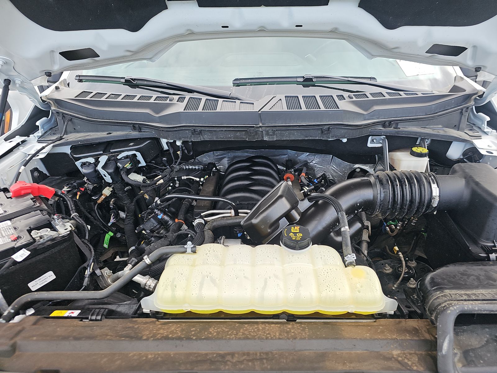 2024 Ford F-150 XLT AWD