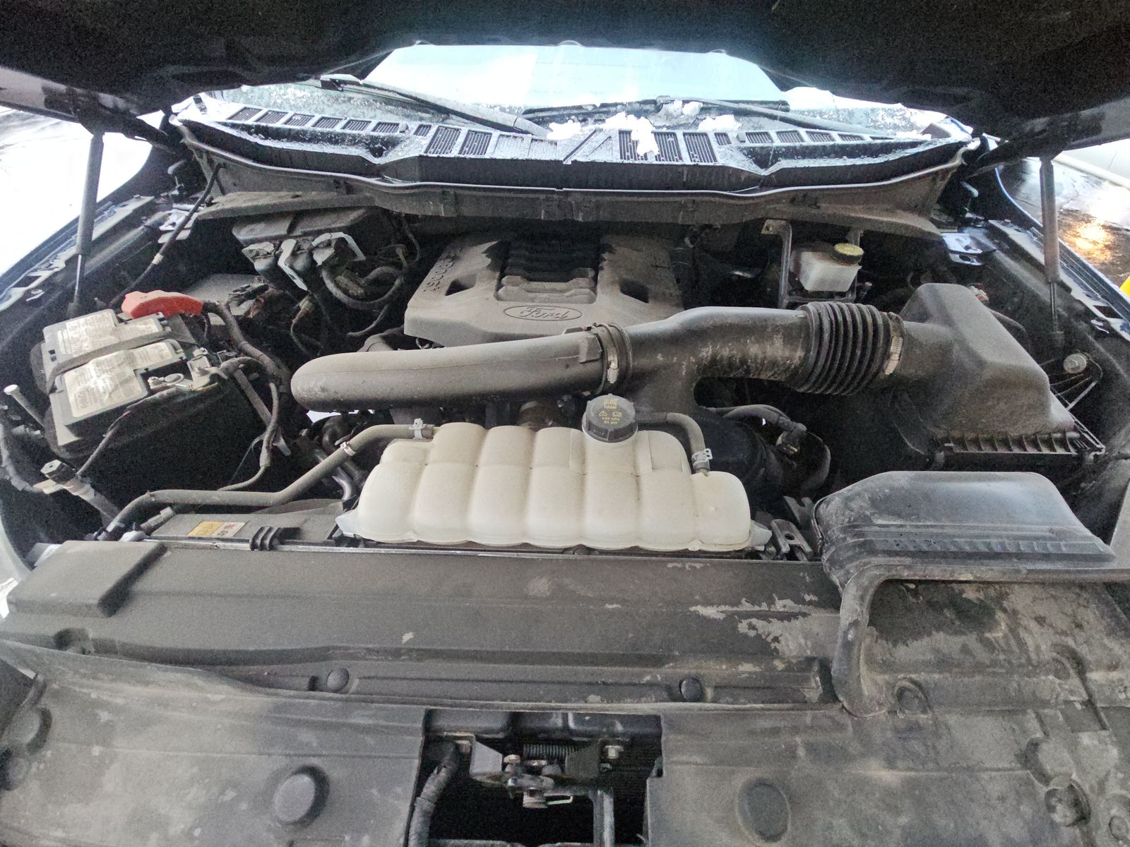 2023 Ford F-150 XLT AWD