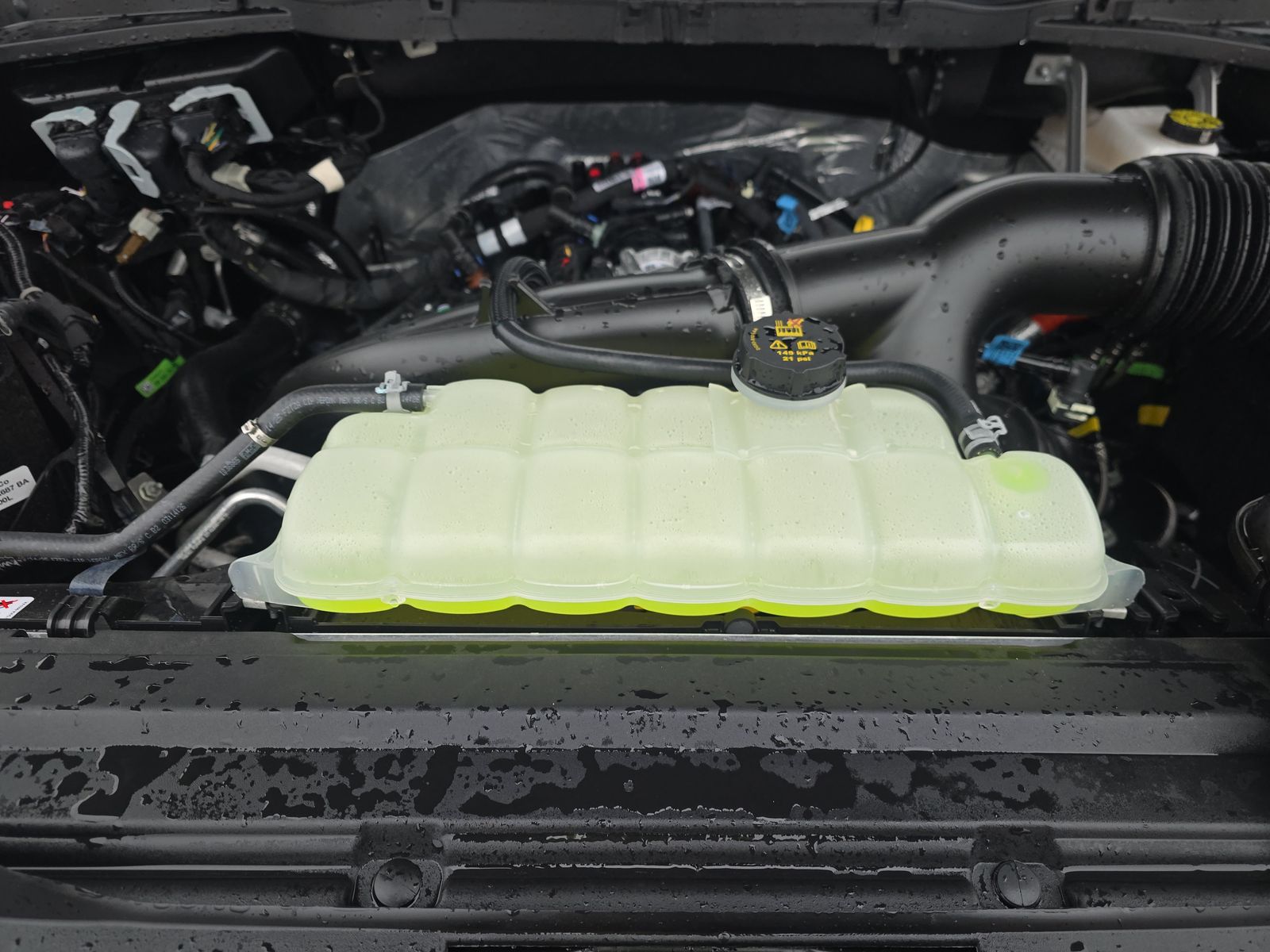 2025 Ford F-150 XLT AWD