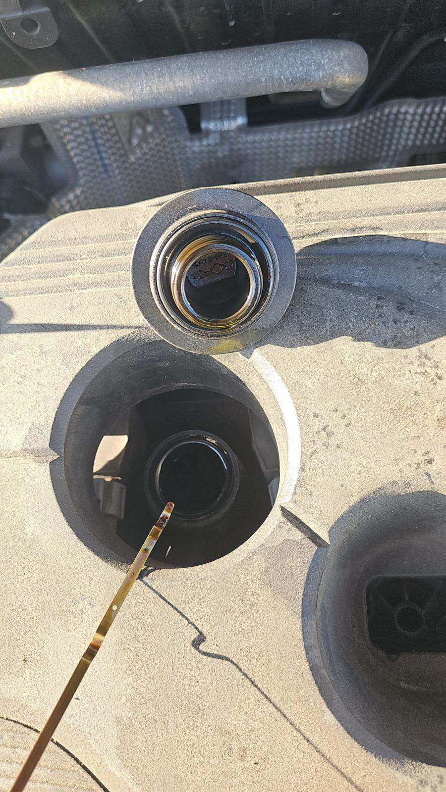 2021 Nissan Rogue SL FWD