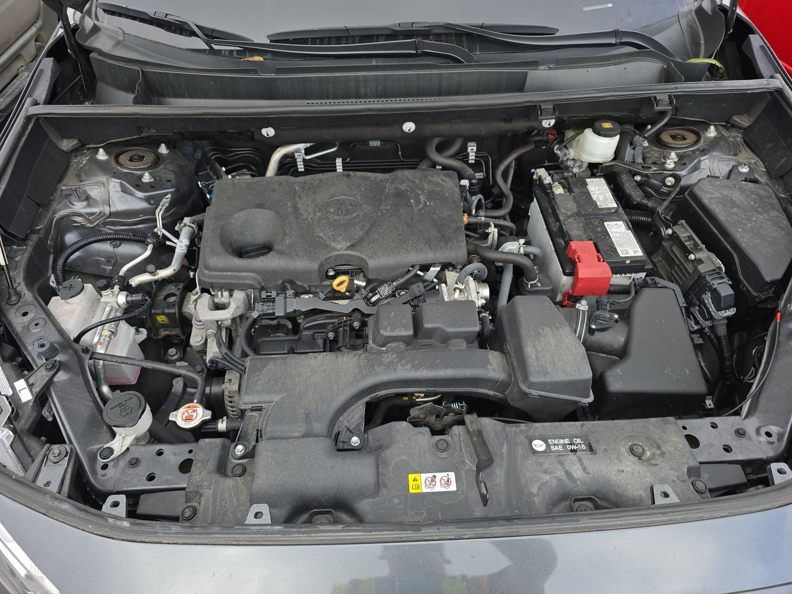 2024 Toyota RAV4 LE AWD