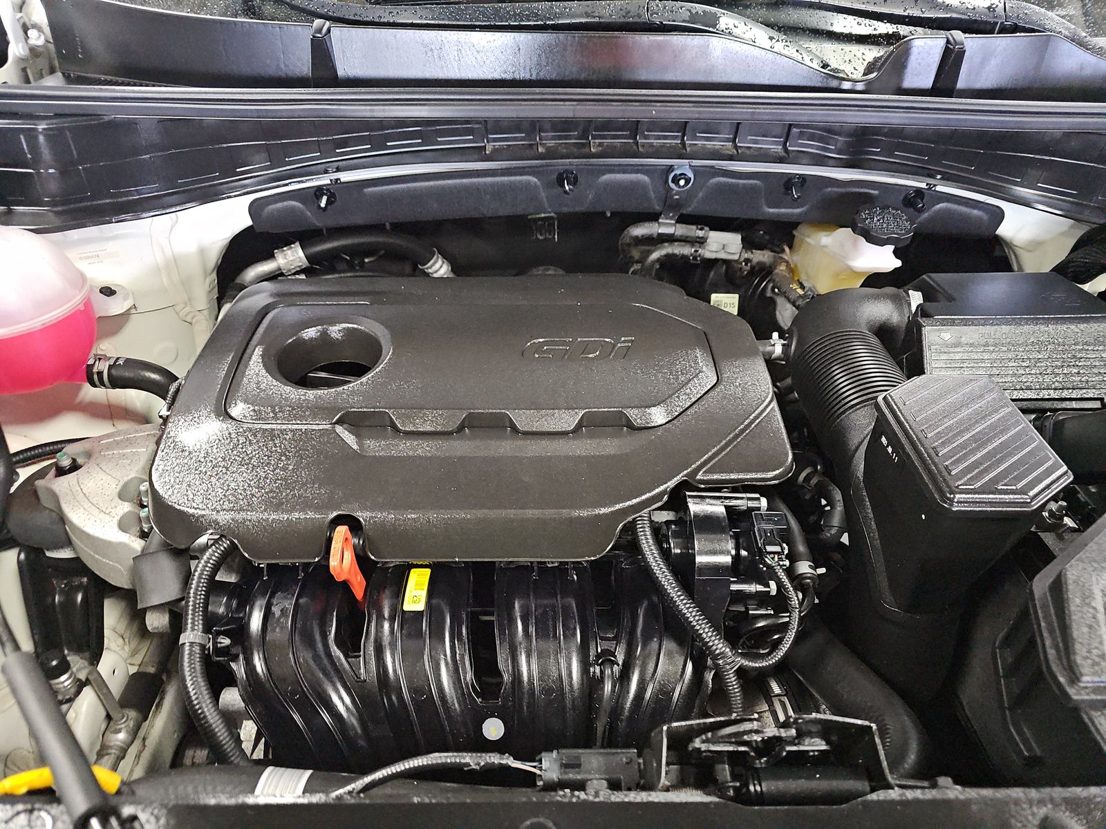 2022 Kia Sportage Nightfall AWD