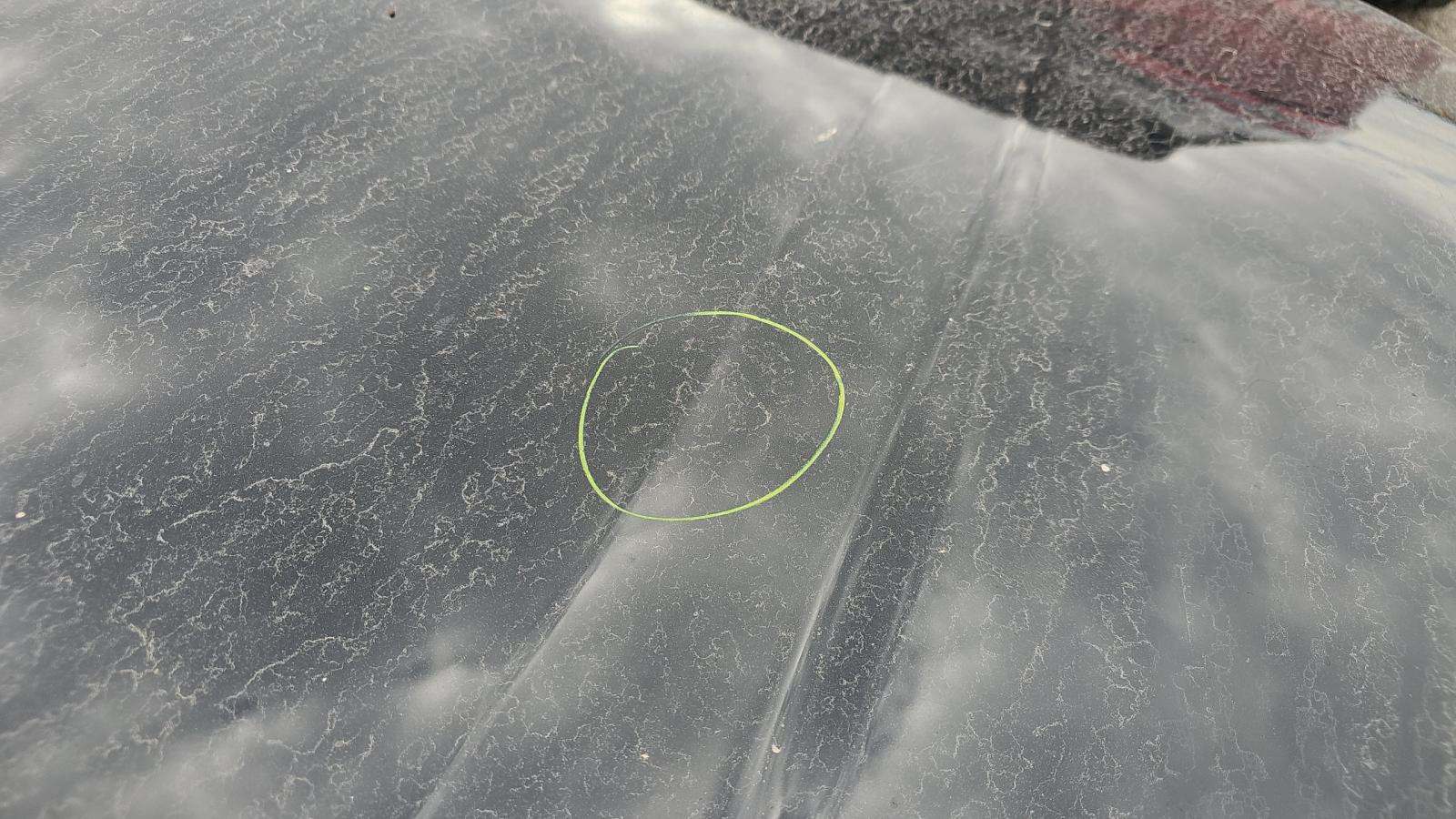 2024 Ford Mustang GT Premium RWD