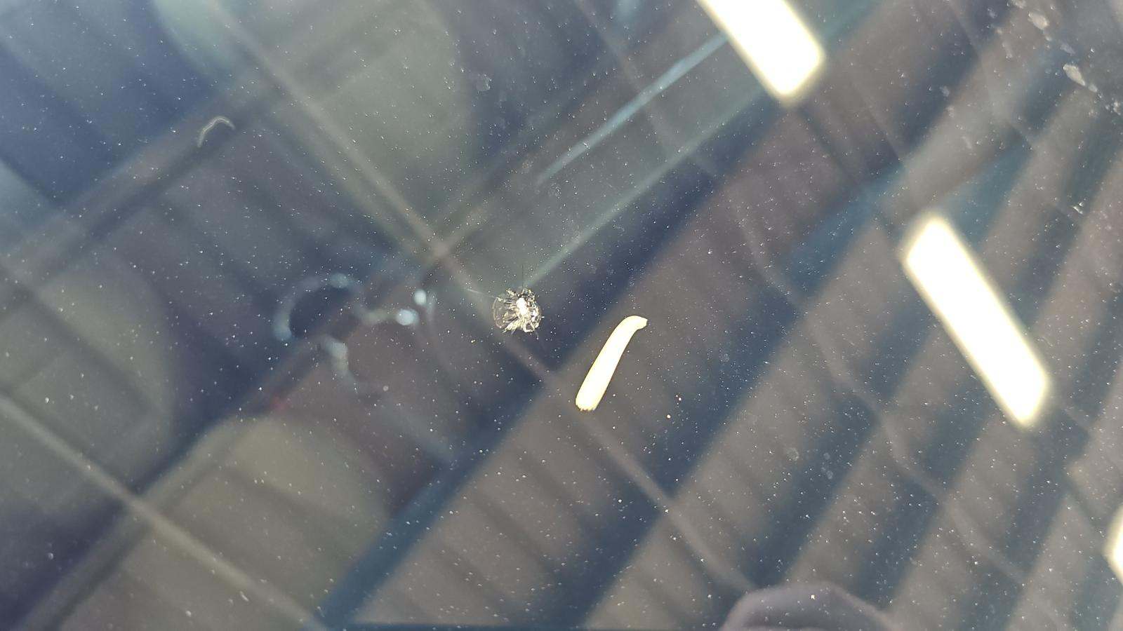 2024 Ford Mustang GT Premium RWD