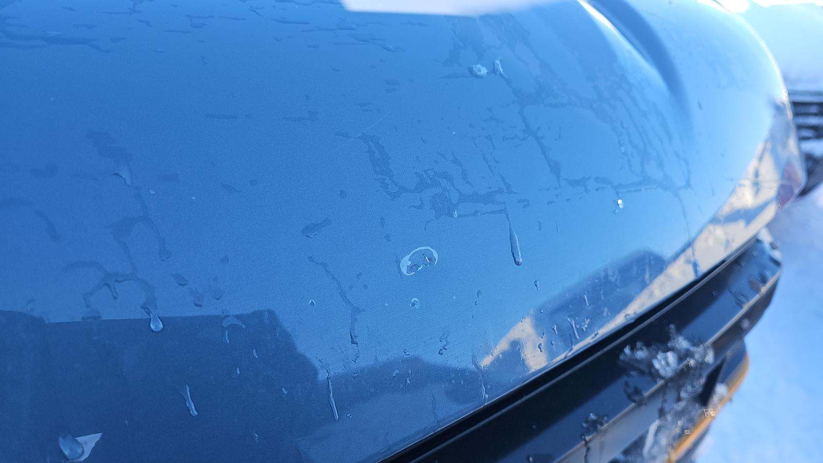 2023 Ford F-150 Tremor AWD