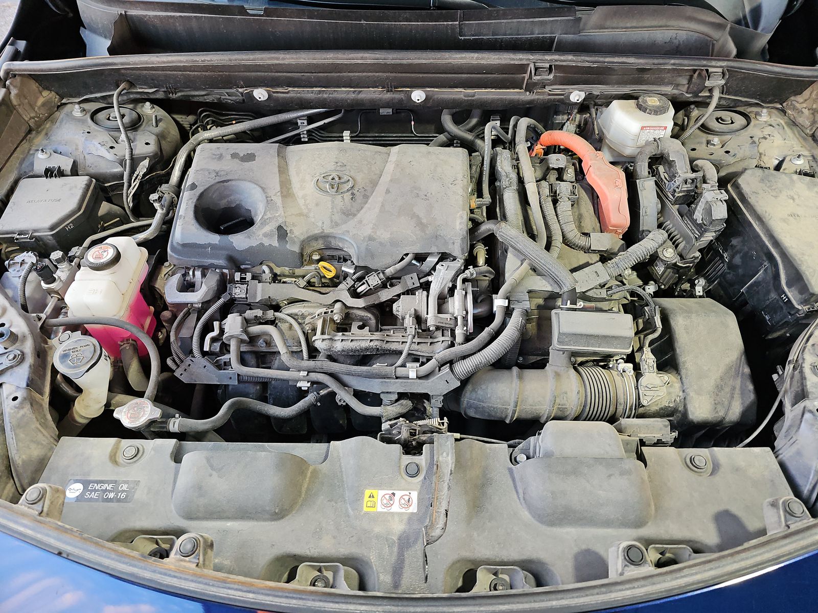 2021 Toyota Venza XLE AWD