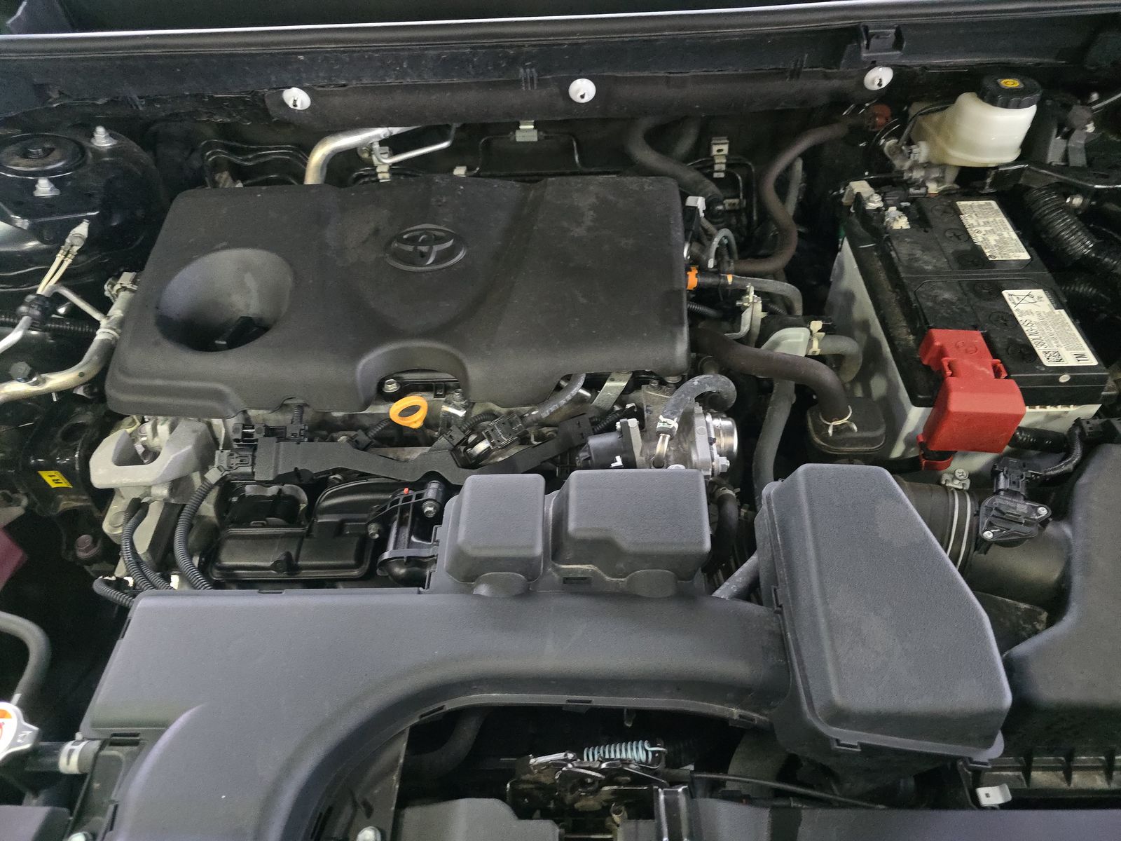 2024 Toyota RAV4 XLE AWD