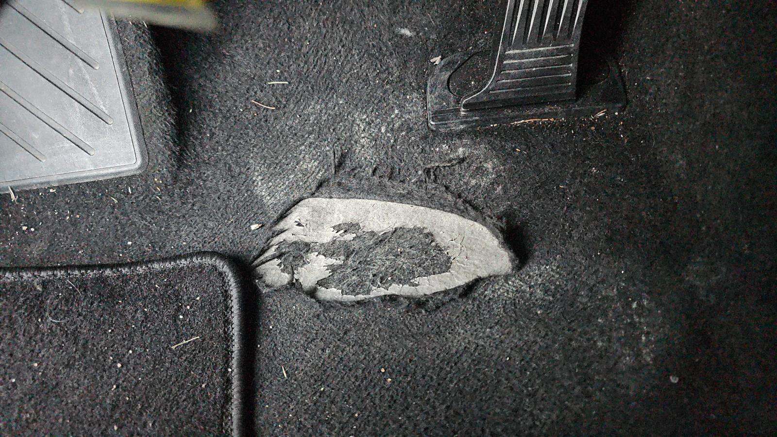 2024 Toyota RAV4 XLE AWD