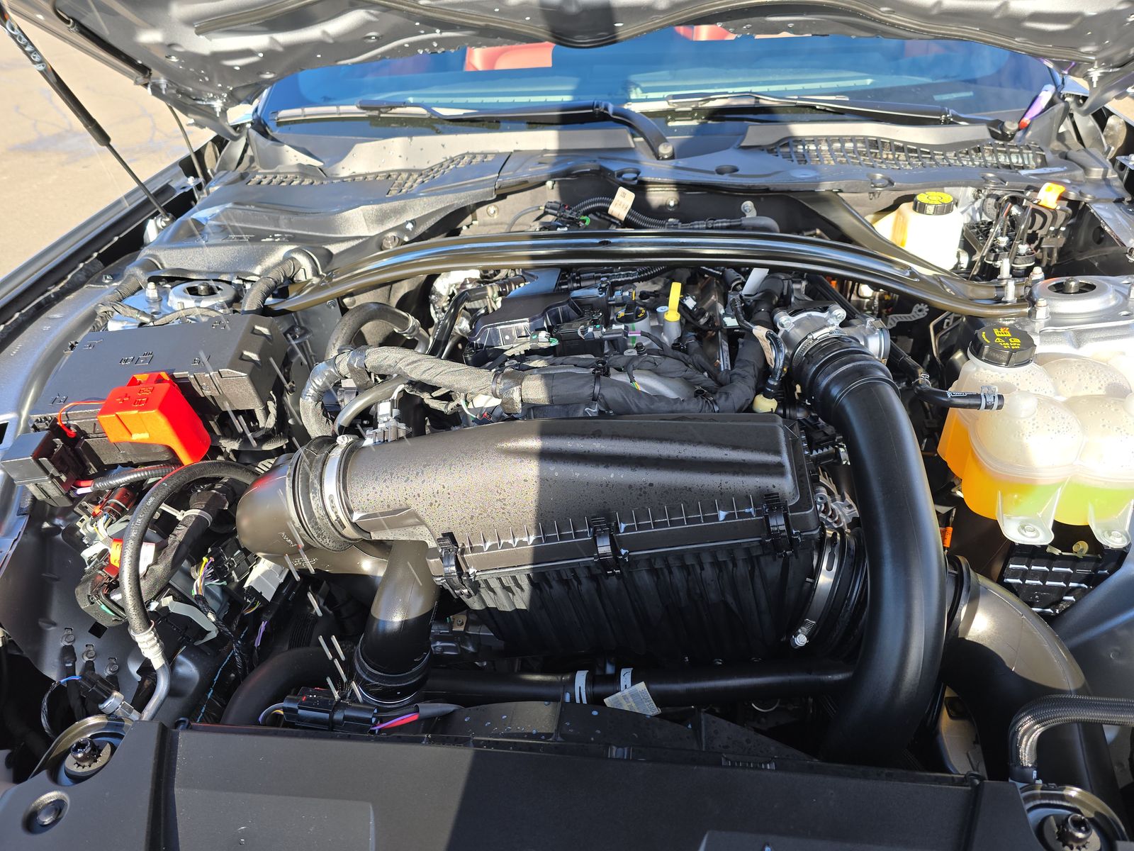 2025 Ford Mustang EcoBoost Premium RWD