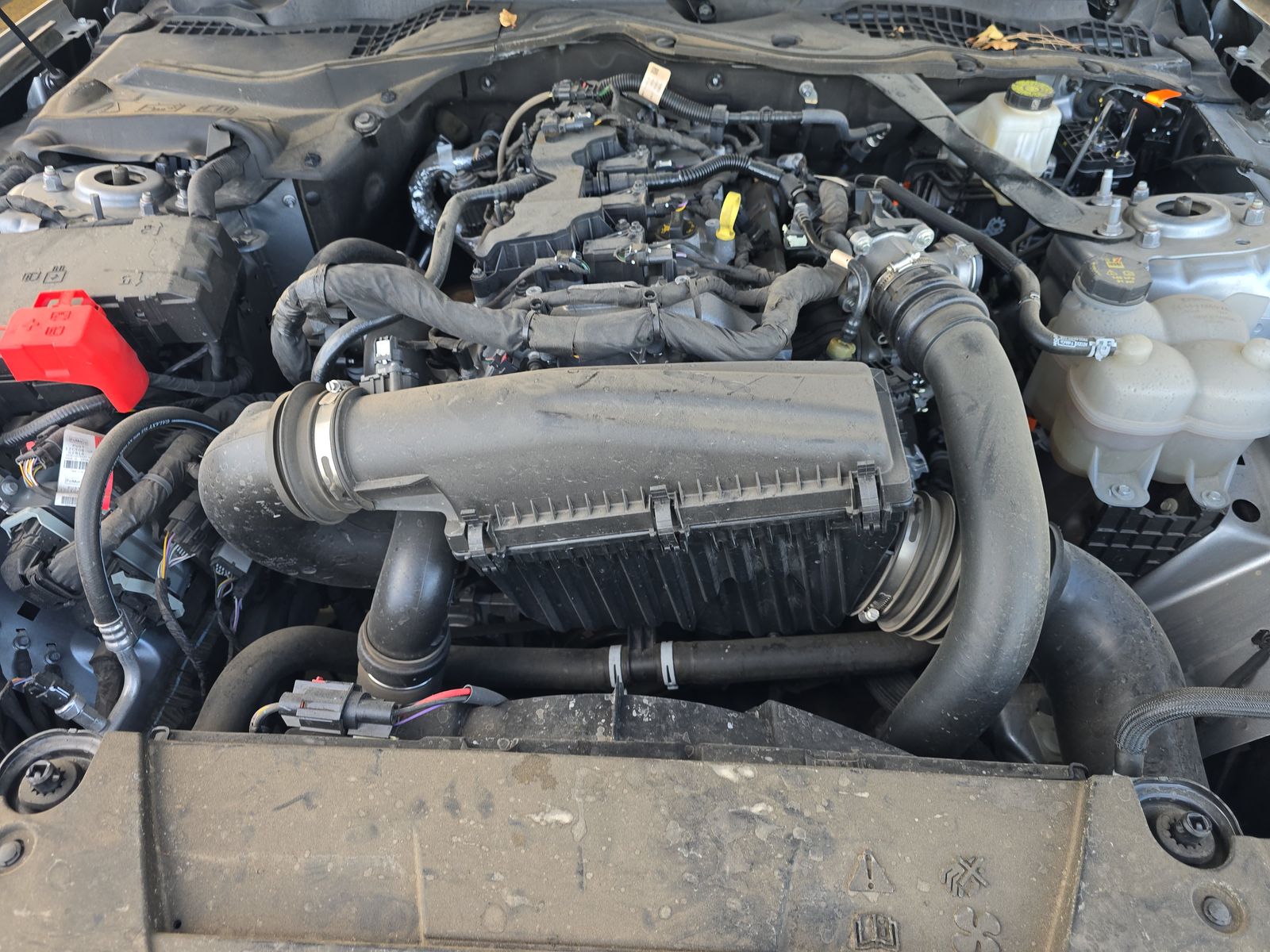 2024 Ford Mustang EcoBoost Premium RWD