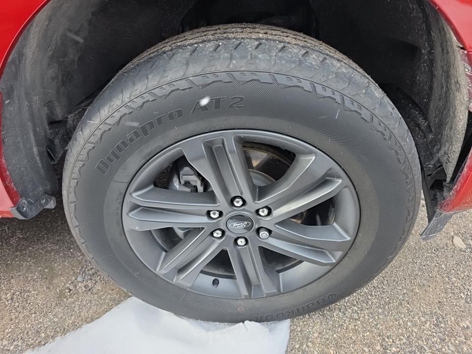 2023 Ford F-150 XLT AWD