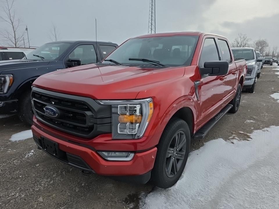 2023 Ford F-150 XLT AWD