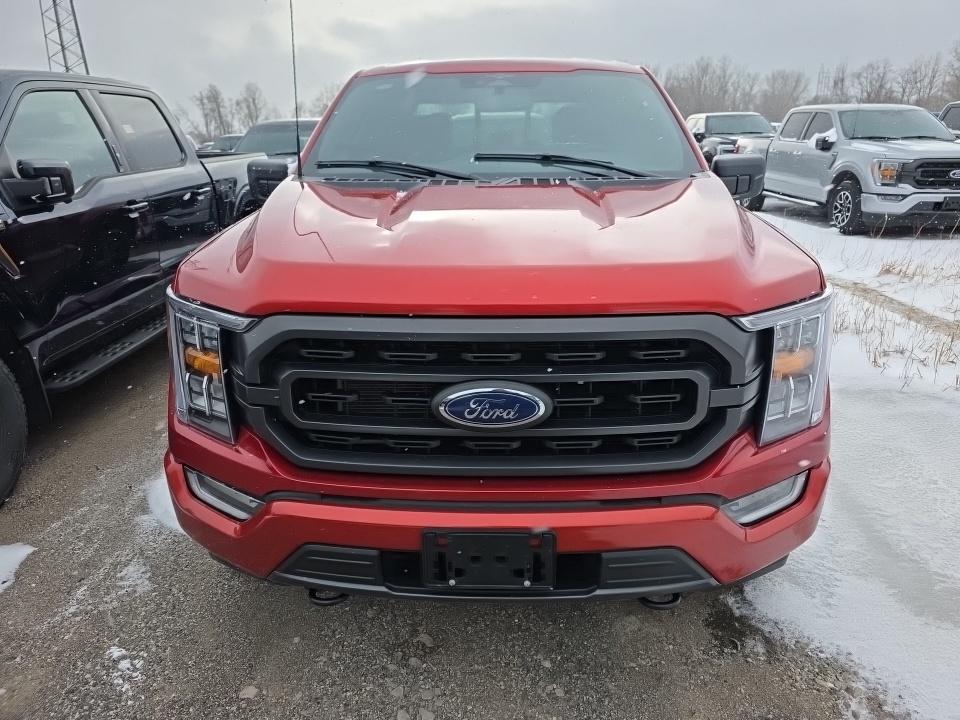 2023 Ford F-150 XLT AWD