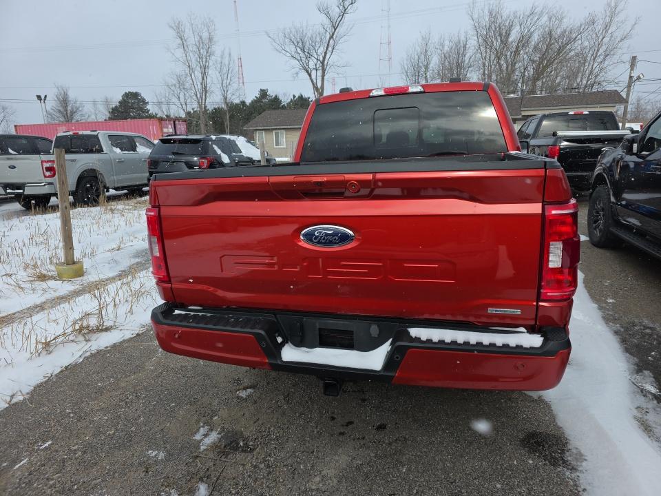 2023 Ford F-150 XLT AWD