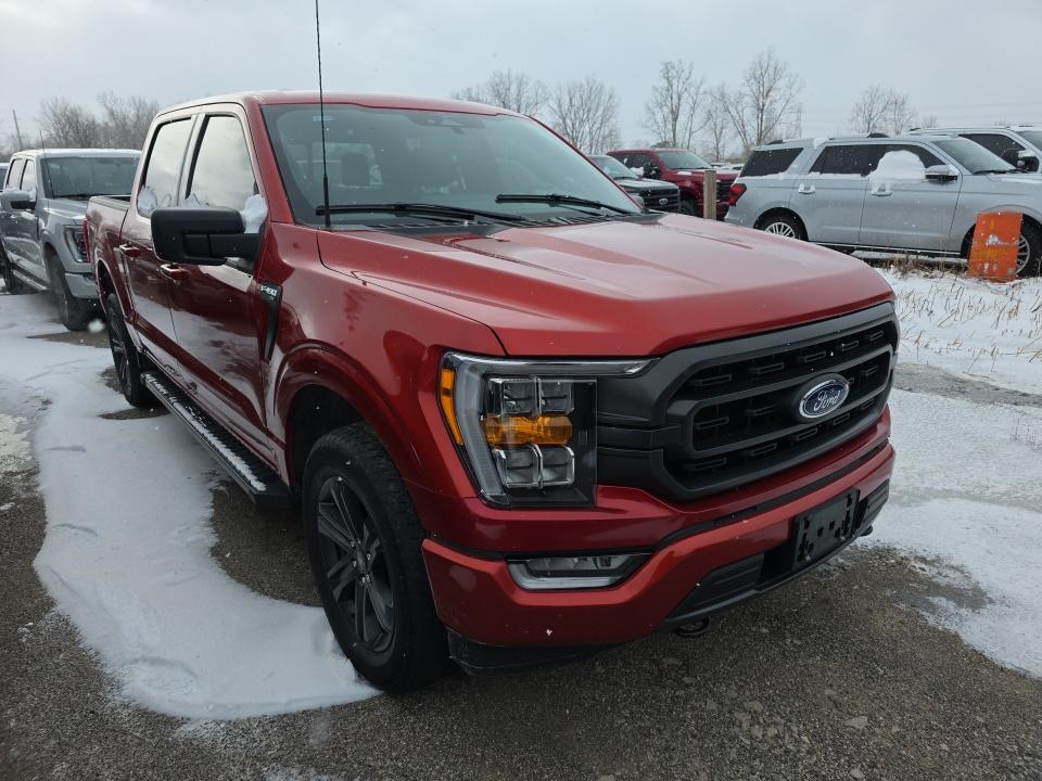 2023 Ford F-150 XLT AWD