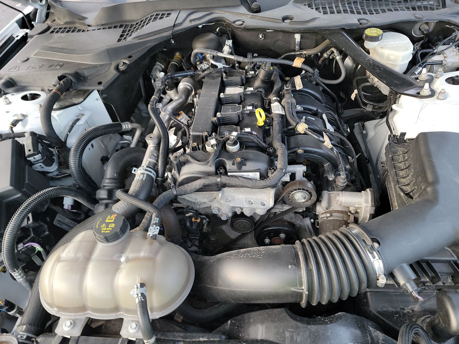 2023 Ford Mustang EcoBoost Premium RWD