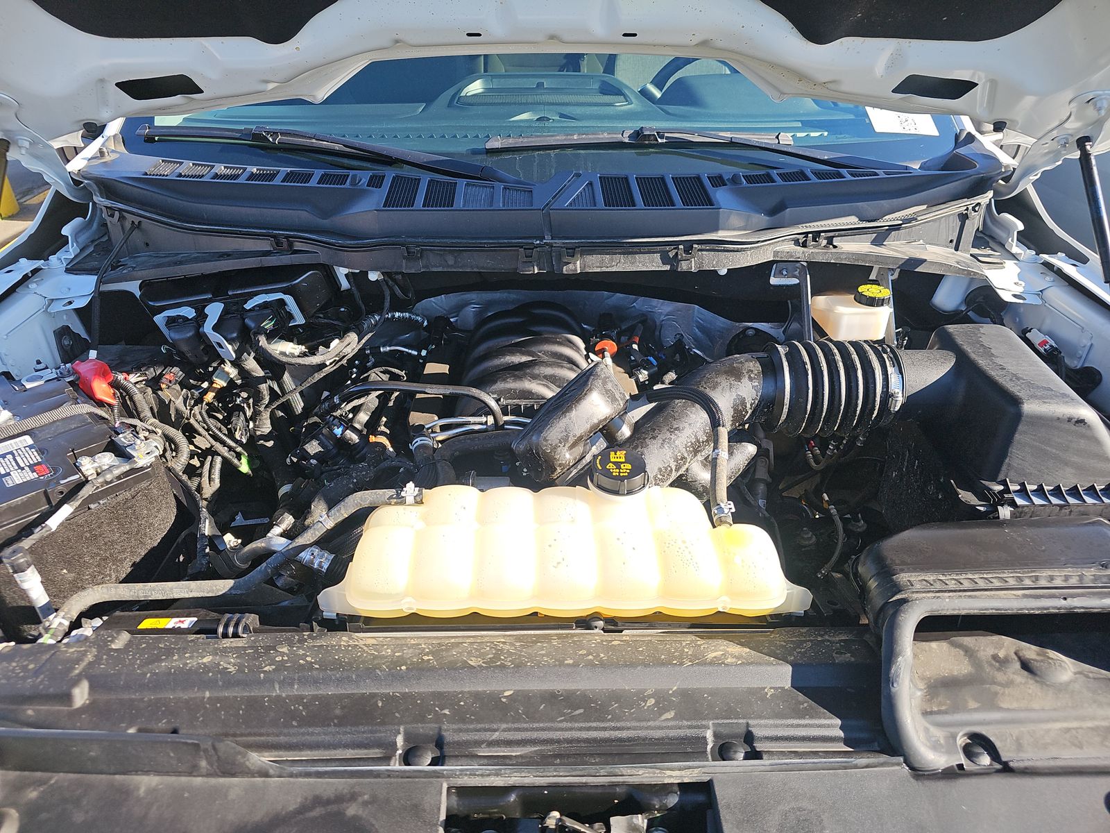 2024 Ford F-150 XLT AWD