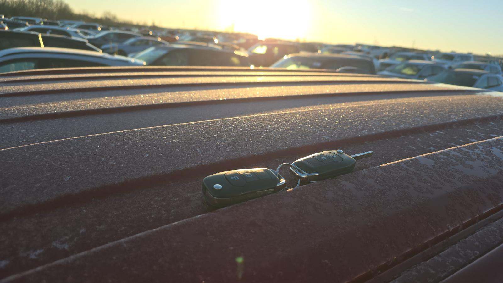 2025 Ford F-150 XLT AWD