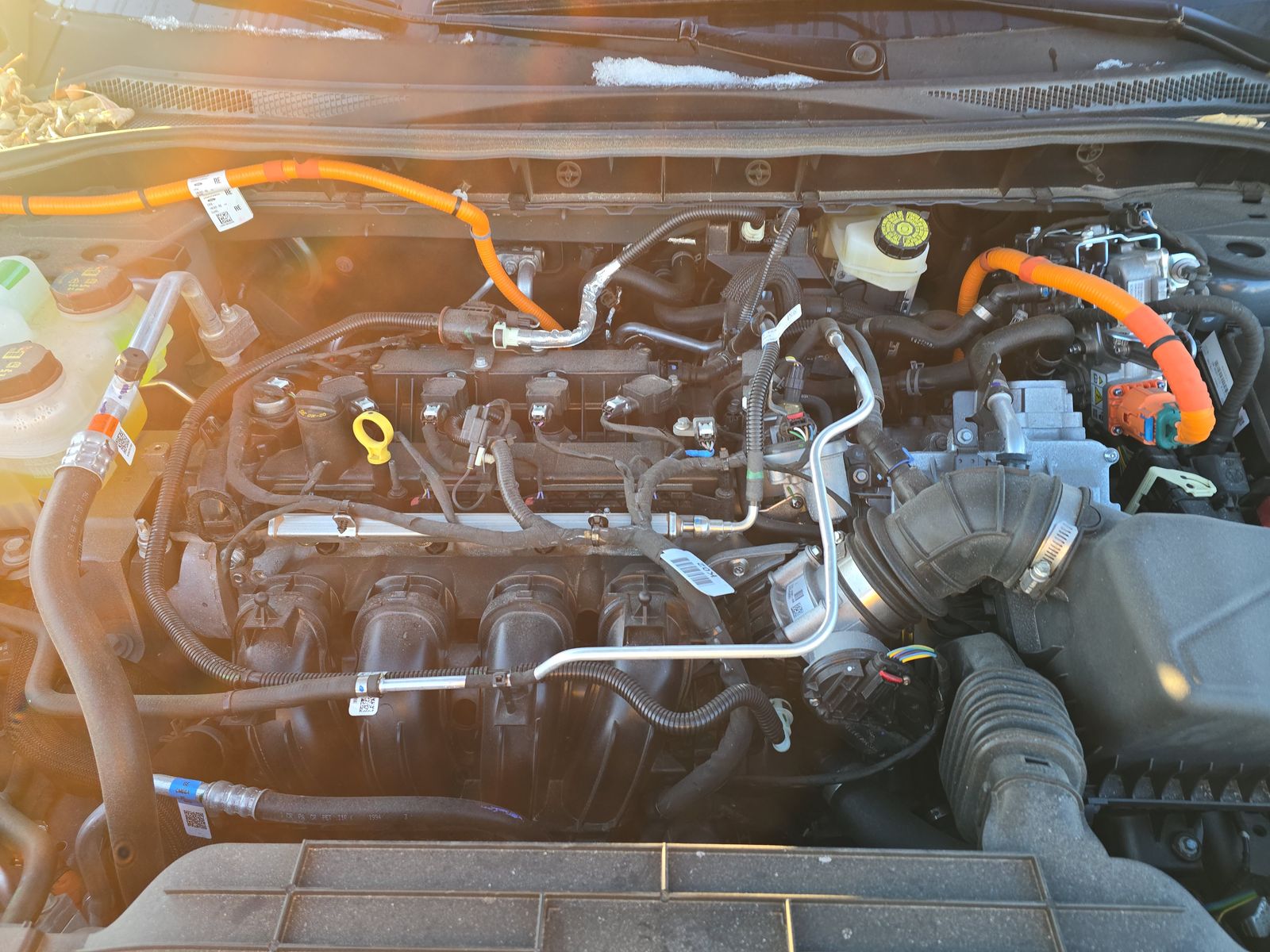 2025 Ford Escape Hybrid ST-Line FWD