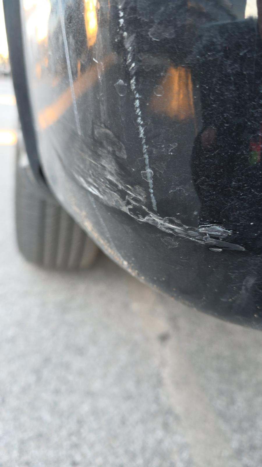 2024 Ford F-150 STX RWD