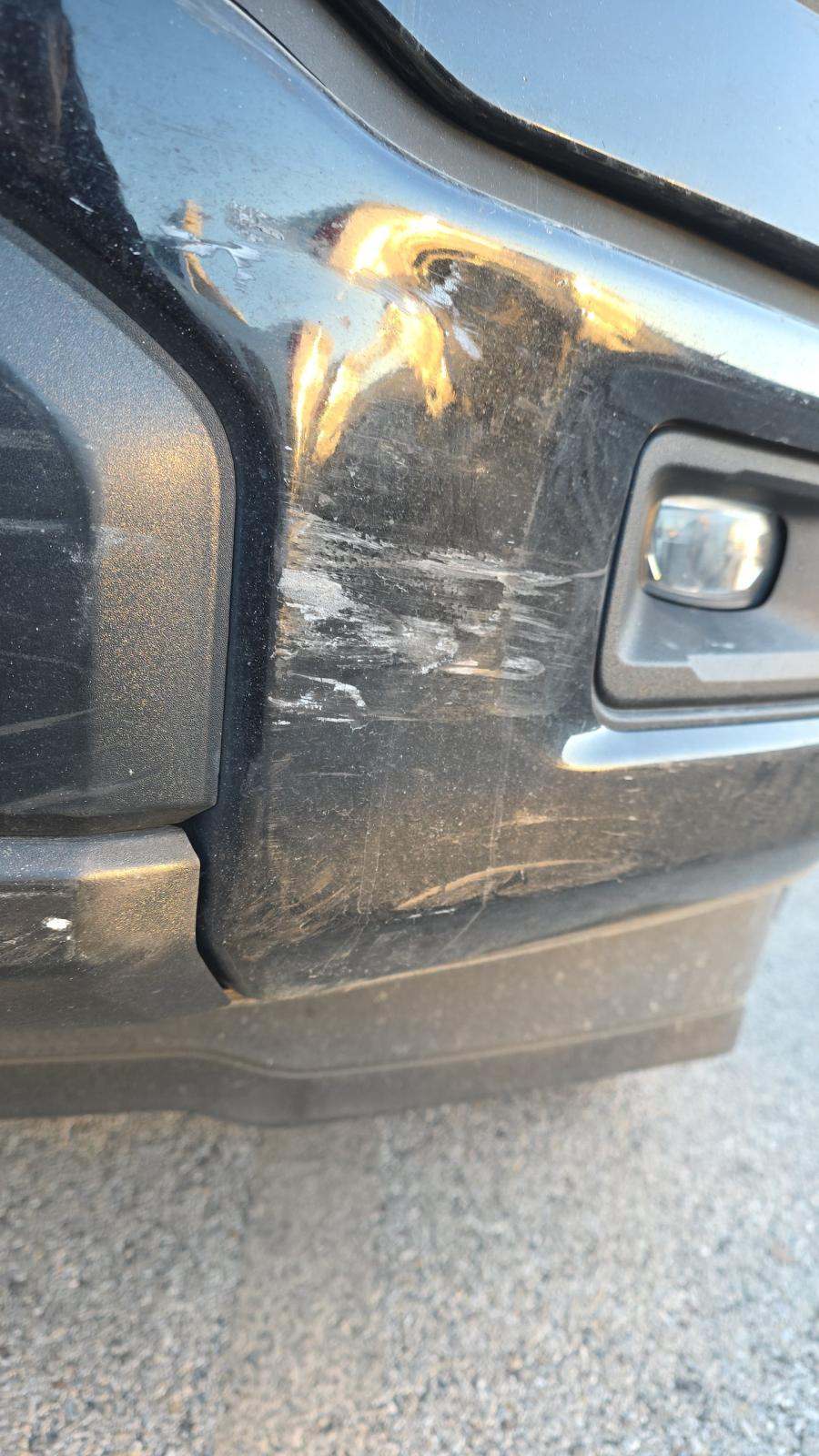 2024 Ford F-150 STX RWD