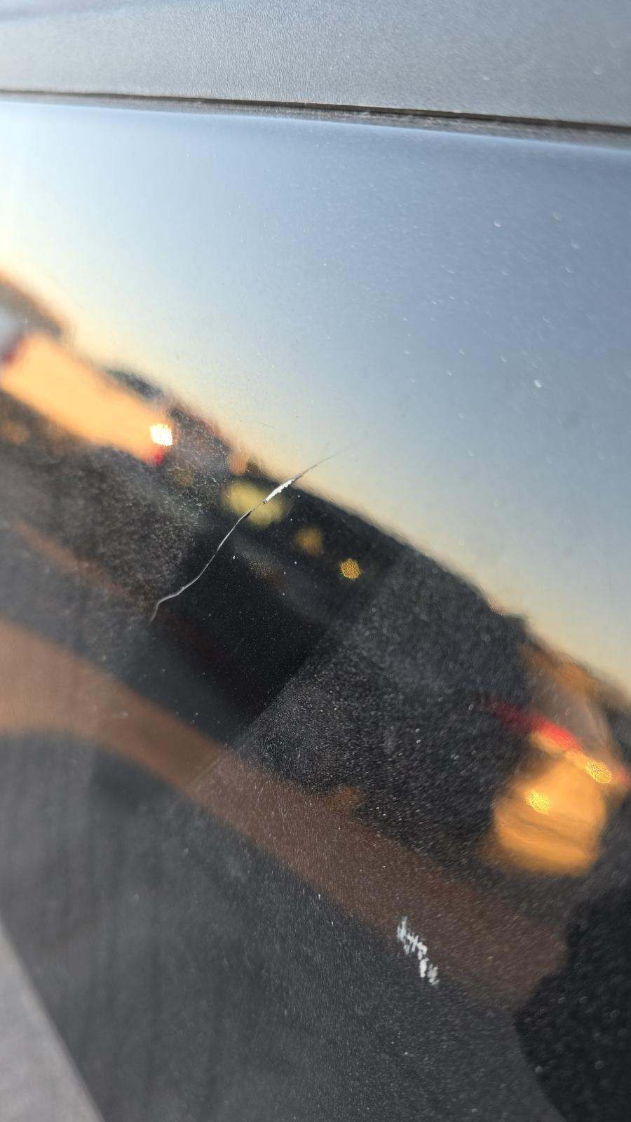 2024 Ford F-150 STX RWD