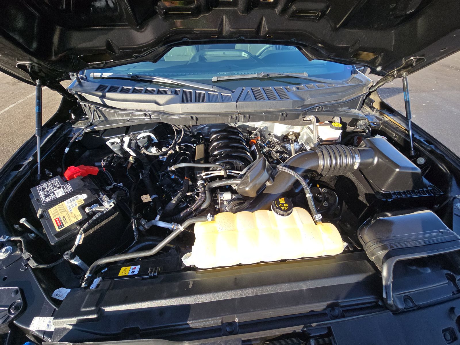 2024 Ford F-150 STX RWD