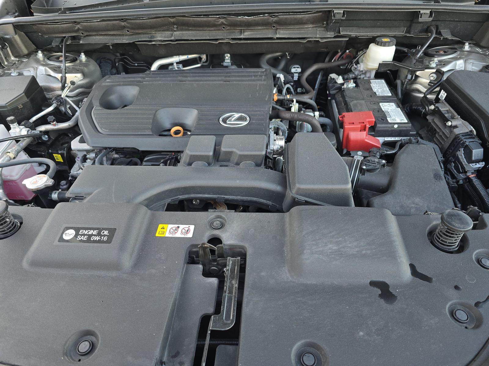 2024 Lexus NX NX 250 FWD