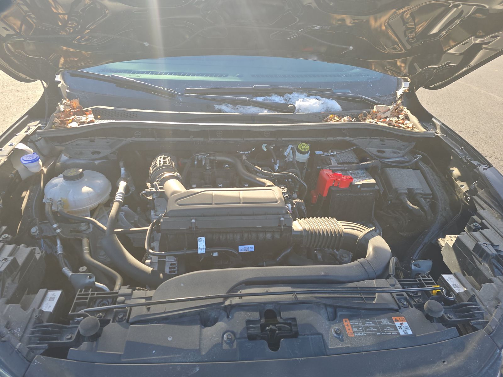 2025 Ford Escape ST-Line AWD