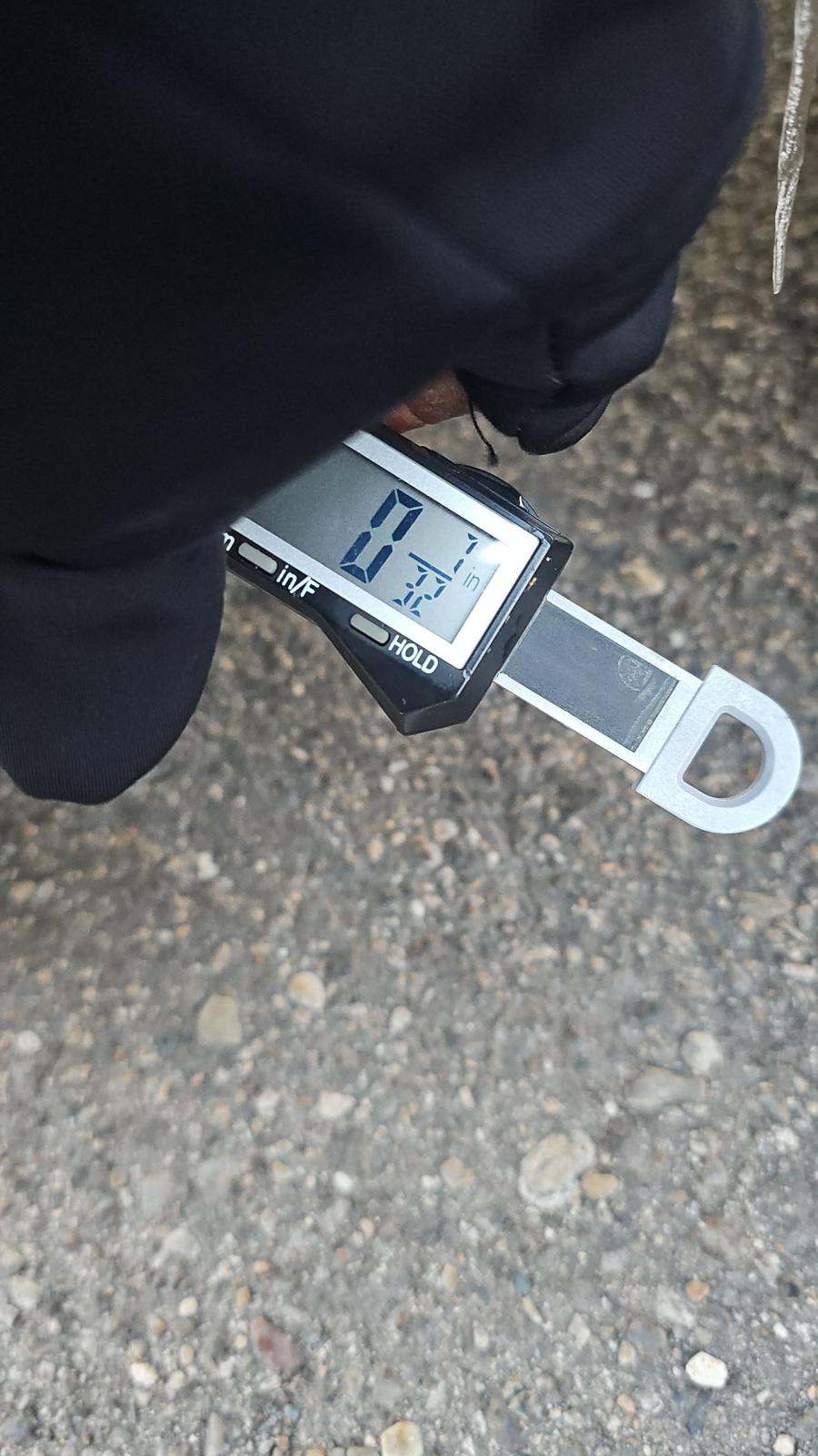 2025 Ford Escape Platinum AWD