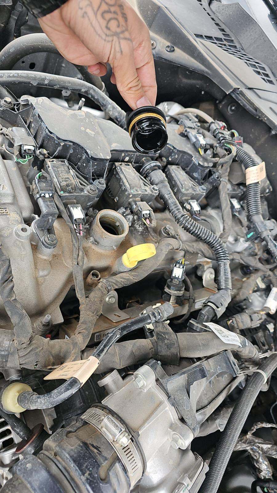 2024 Ford Mustang EcoBoost Premium RWD