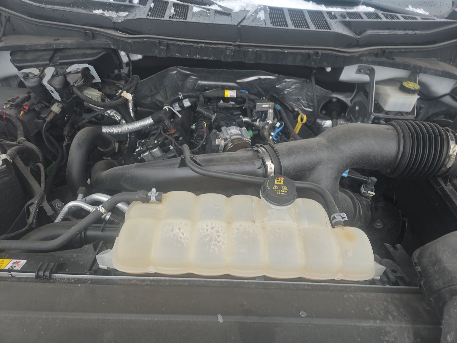 2023 Ford F-150 XLT AWD