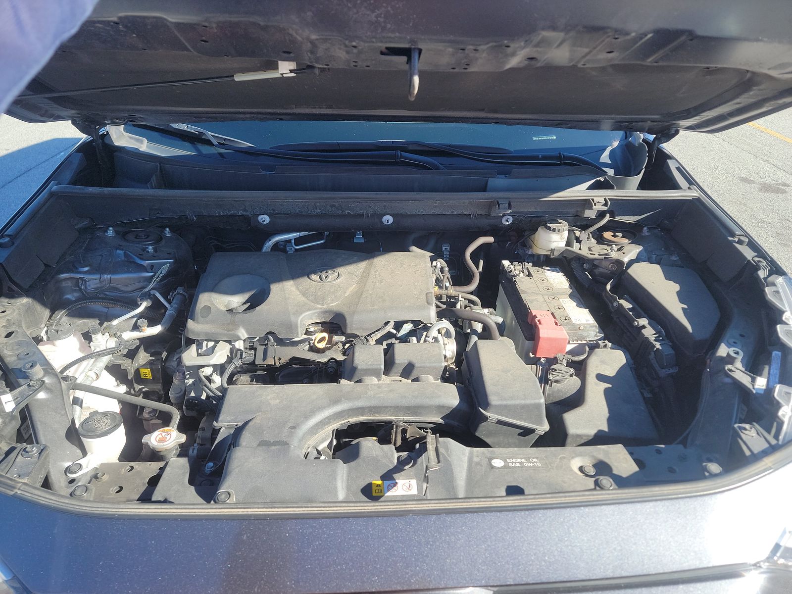 2024 Toyota RAV4 LE AWD