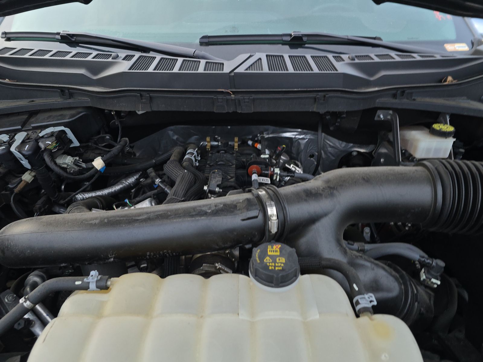 2024 Ford F-150 XLT AWD