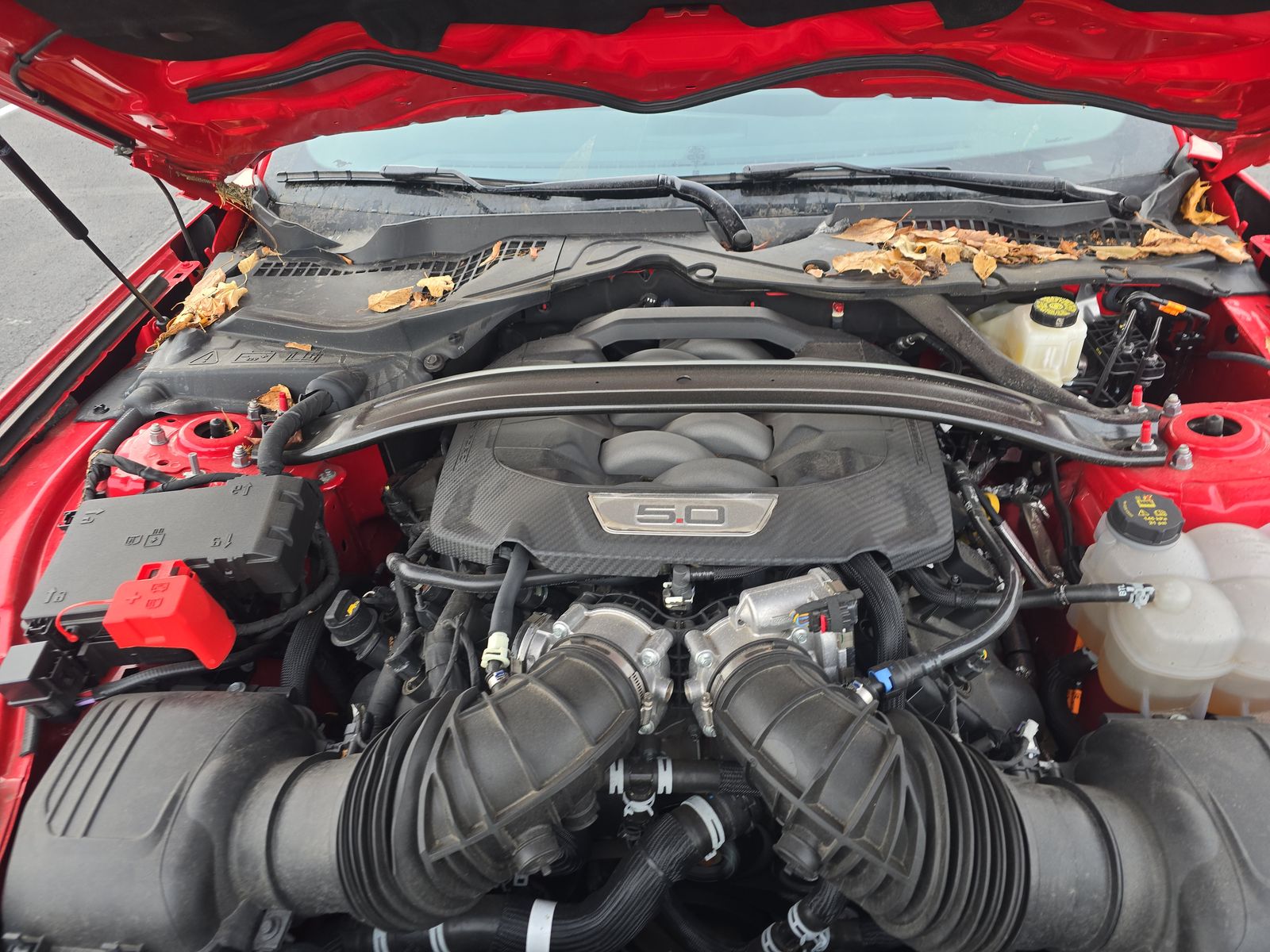 2025 Ford Mustang GT Premium RWD