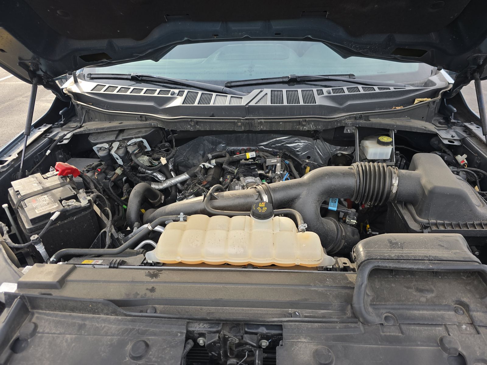 2023 Ford F-150 XLT AWD