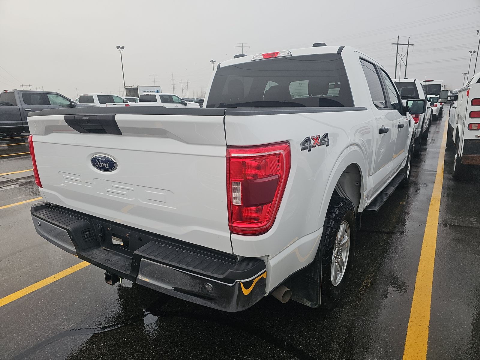 FORD F-150 - 5