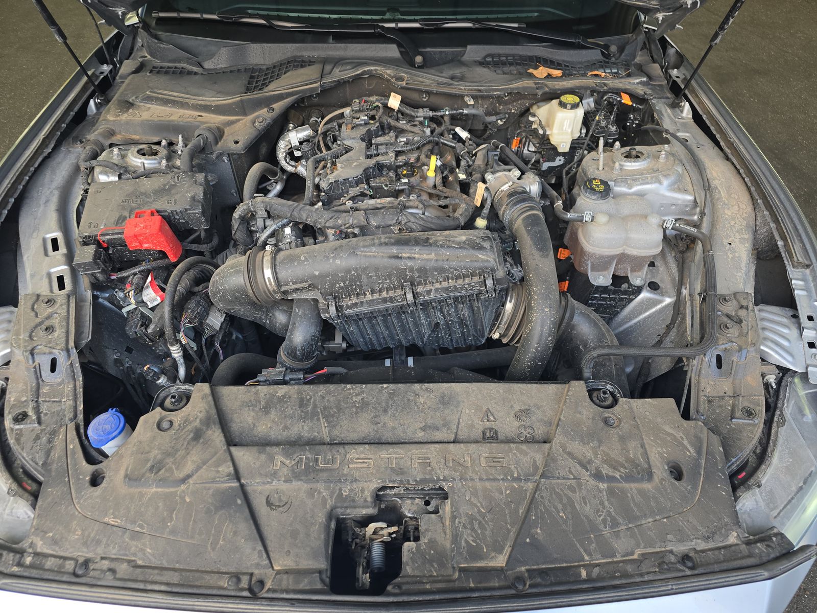 2024 Ford Mustang EcoBoost Premium RWD