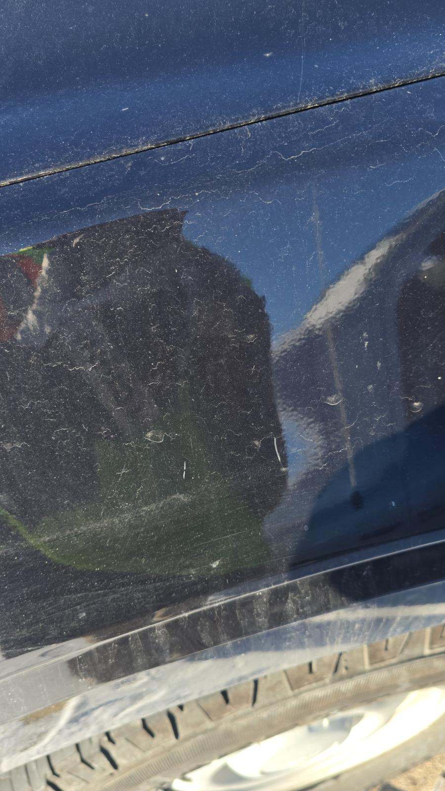 2023 Ford F-150 XL RWD