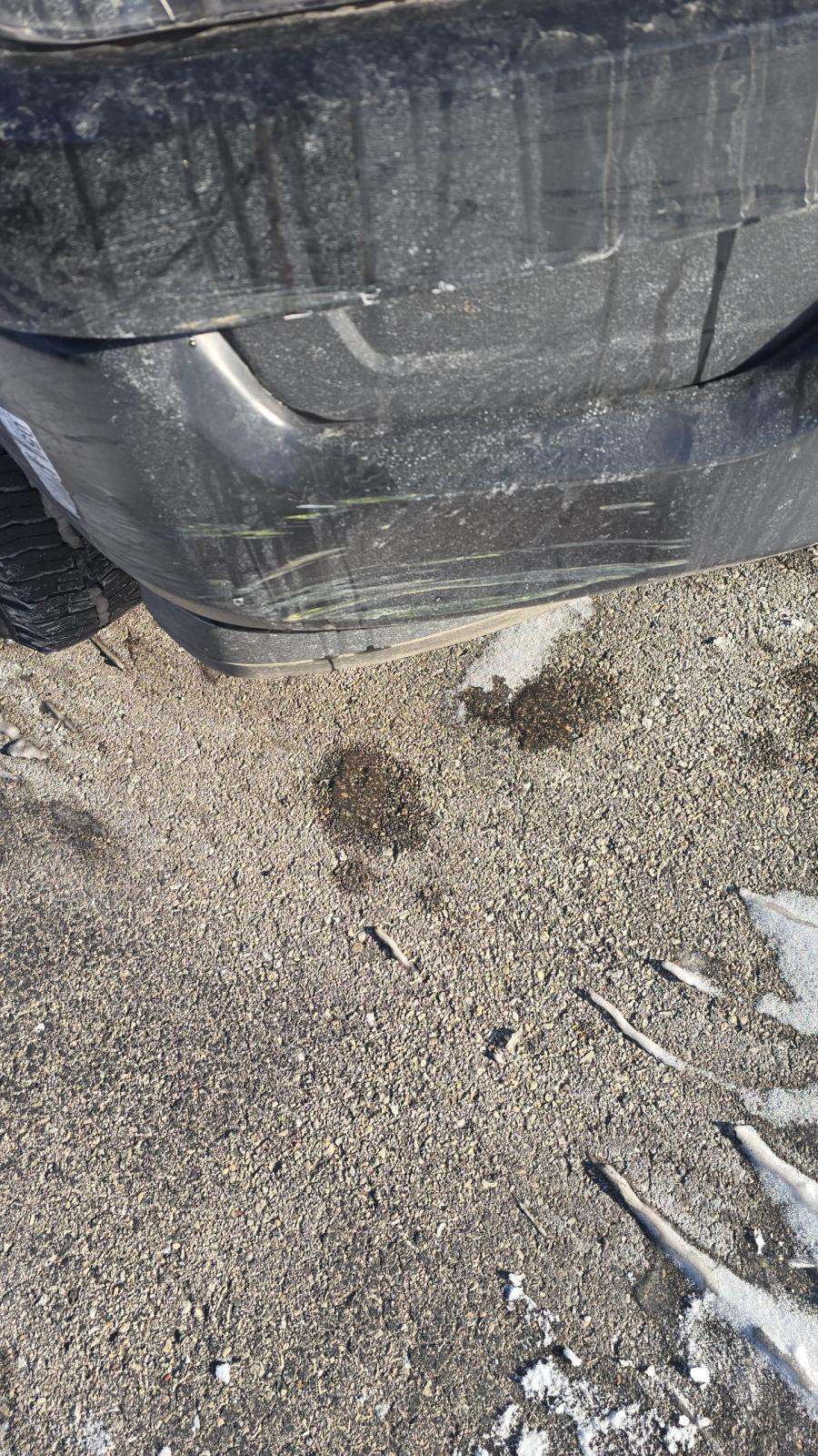 2023 Ford F-150 XL RWD