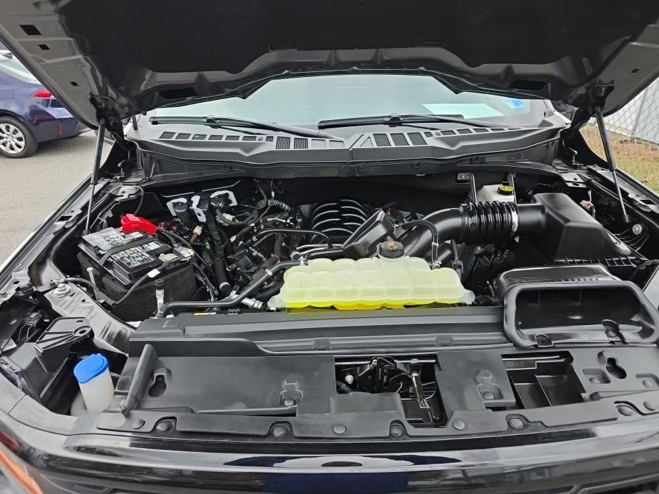 2025 Ford F-150 XLT AWD