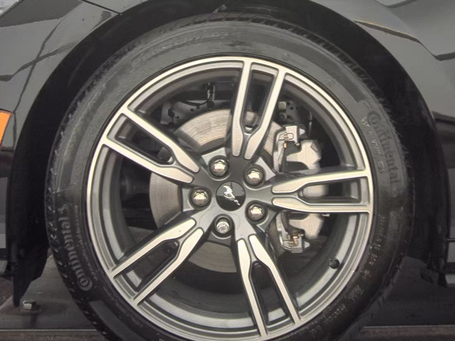 2025 Ford Mustang EcoBoost Premium RWD